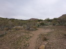 photo thumbnail #13