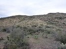 photo thumbnail #14