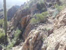 photo thumbnail #7