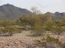 photo thumbnail #14