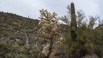 photo thumbnail #2