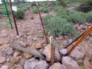 photo thumbnail #3