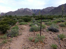 photo thumbnail #6