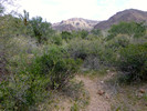 photo thumbnail #13