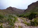 photo thumbnail #14