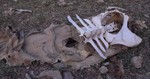 photo thumbnail #2