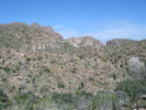 photo thumbnail #1