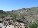 photo thumbnail #2