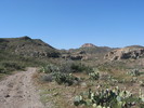 photo thumbnail #9