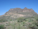 photo thumbnail #10