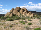 recent photo