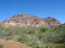 photo thumbnail #12