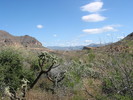photo thumbnail #15