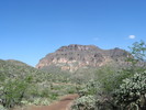 recent photo
