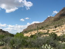 recent photo