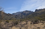 photo thumbnail #3