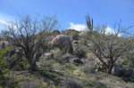 photo thumbnail #4