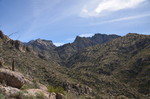 photo thumbnail #12