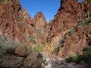 photo thumbnail #7