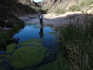 photo thumbnail #15