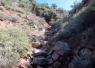 photo thumbnail #13