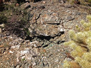 photo thumbnail #6