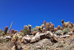 photo thumbnail #7