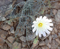 photo thumbnail #10