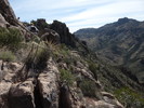photo thumbnail #10