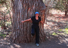 photo thumbnail #6