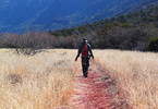 photo thumbnail #2