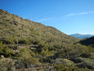 photo thumbnail #10