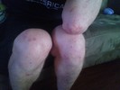 photo thumbnail #12