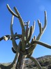 photo thumbnail #13