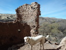 photo thumbnail #14