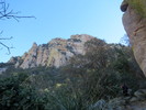 photo thumbnail #8