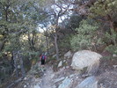 photo thumbnail #10