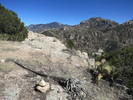 photo thumbnail #13