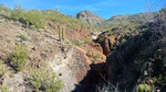 photo thumbnail #15