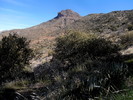 photo thumbnail #3