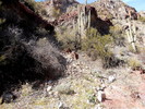 photo thumbnail #5