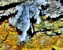 photo thumbnail #13