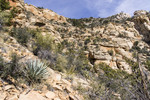 photo thumbnail #6