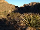 photo thumbnail #2