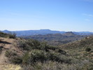 photo thumbnail #4