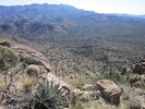 photo thumbnail #14