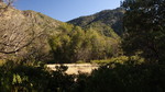 photo thumbnail #12