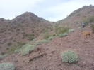 photo thumbnail #3