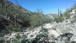 photo thumbnail #10