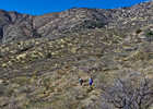 photo thumbnail #15
